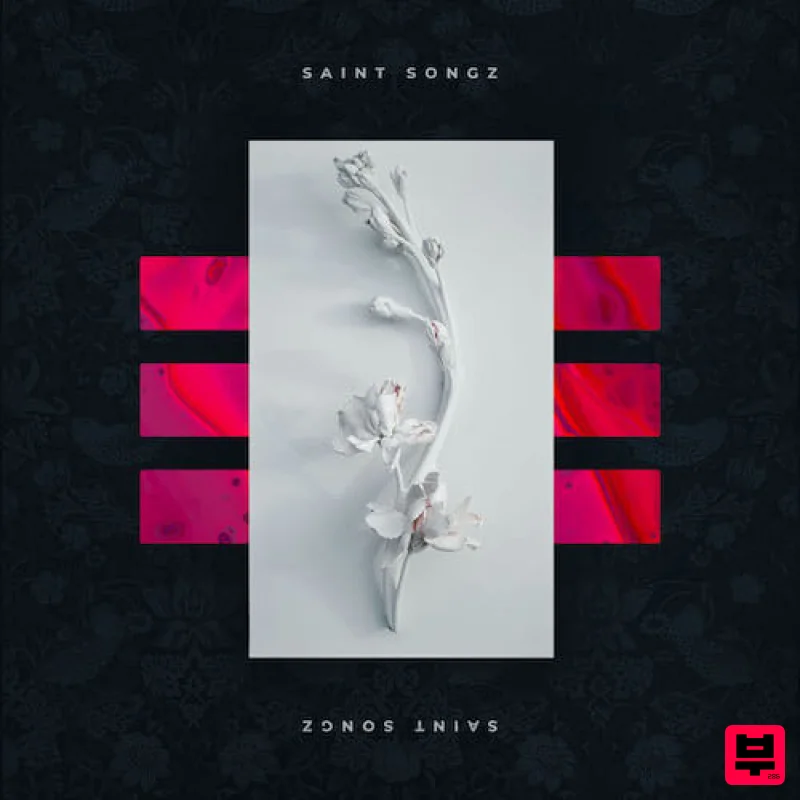 Diginoiz Saint Songz - Professional Music Instrument Photo