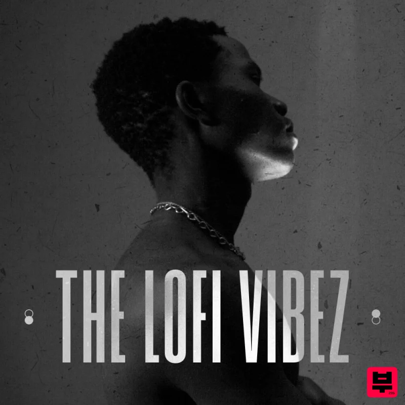 Diginoiz The Lofi Vibe - Lofi