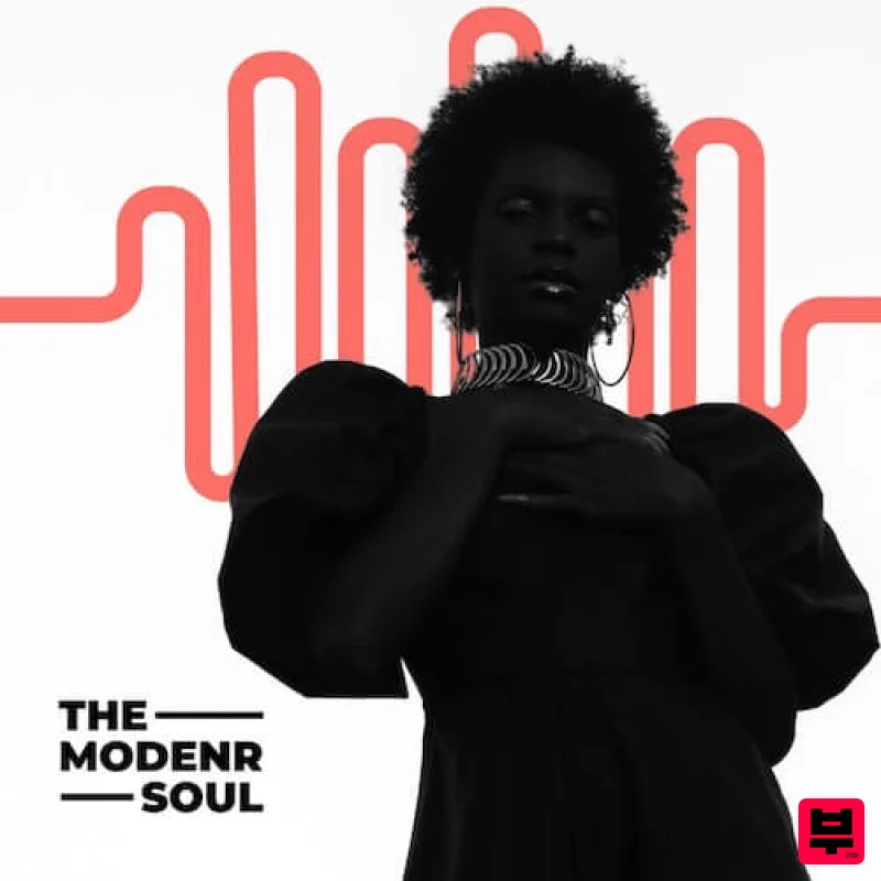 Diginoiz The Modern Soul - R&B
