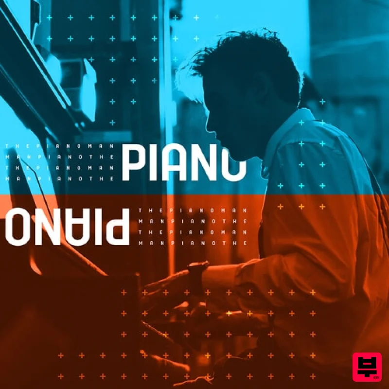 Diginoiz The Piano Man - Professional Music Instrument Photo