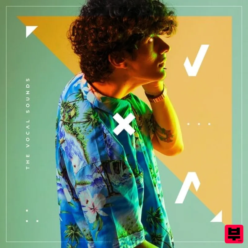 Diginoiz The Vocal Sounds - Future R&B