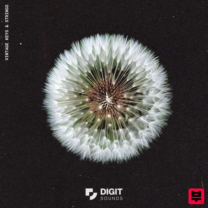 Digit Sounds Vintage Keys & Strings - Jazz