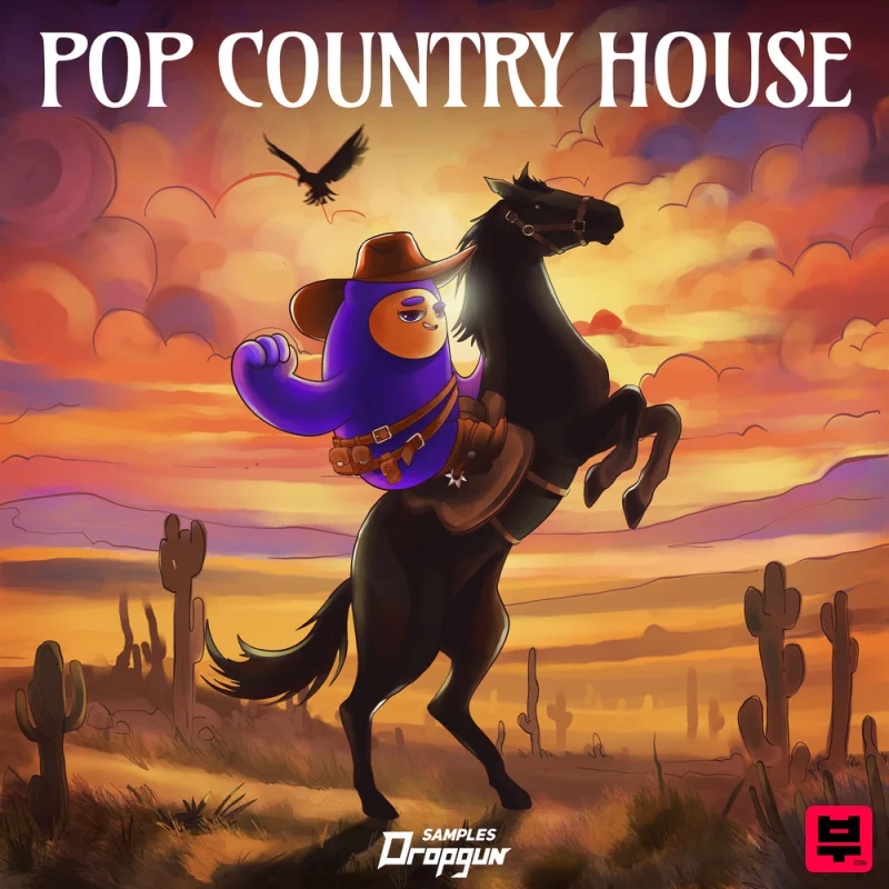 Dropgun Samples Pop Country House - Country