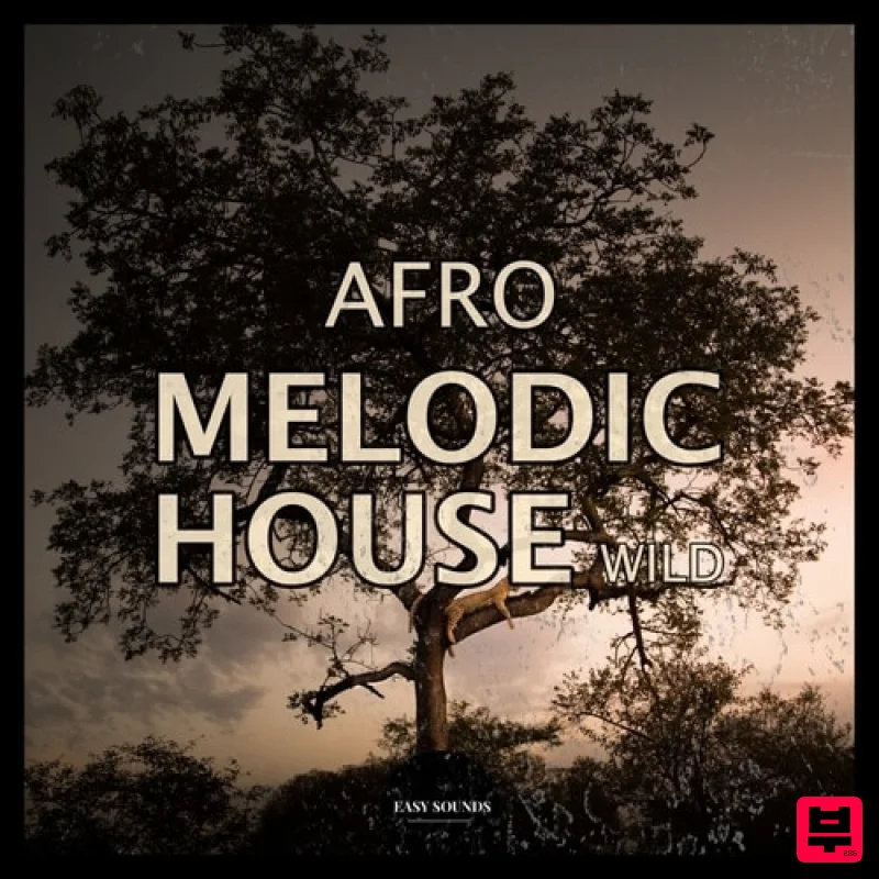 Easy Sounds Afro Melodic Wild - Ethnic
