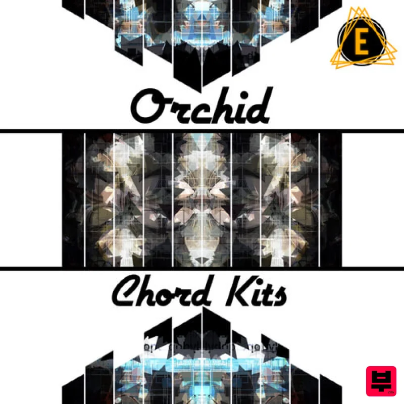 Electronisounds Orchid Chord Kits - Professional Music Instrument Photo
