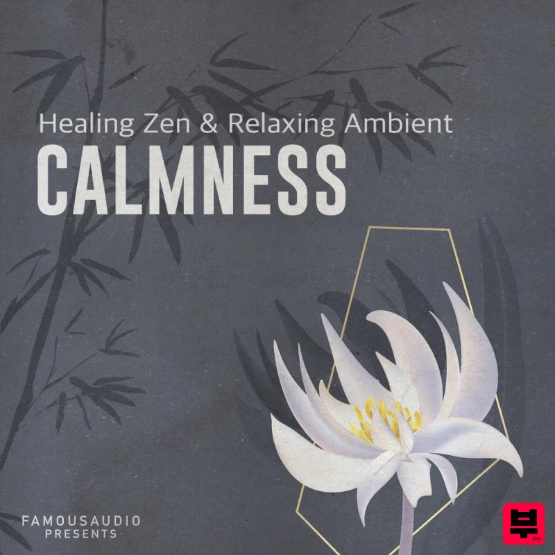 Famous Audio Calmness: Healing Zen & Relaxing Ambient - Ambient