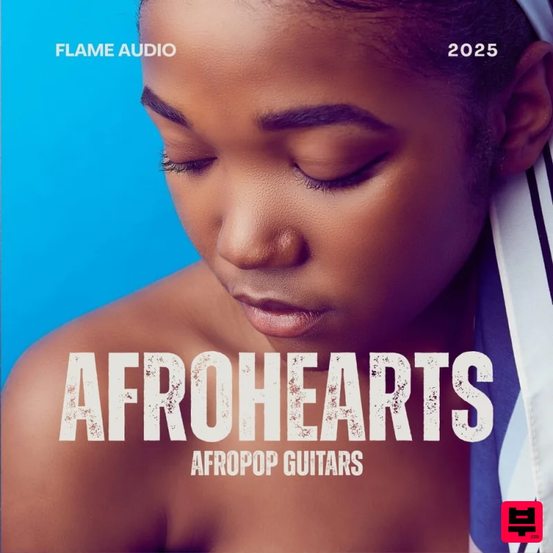 Flame Audio AFROHEARTS: Radio-Ready Afropop Guitars - Professional Music Instrument Photo