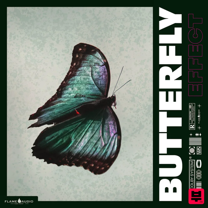 Flame Audio BUTTERFLY EFFECT - Trap