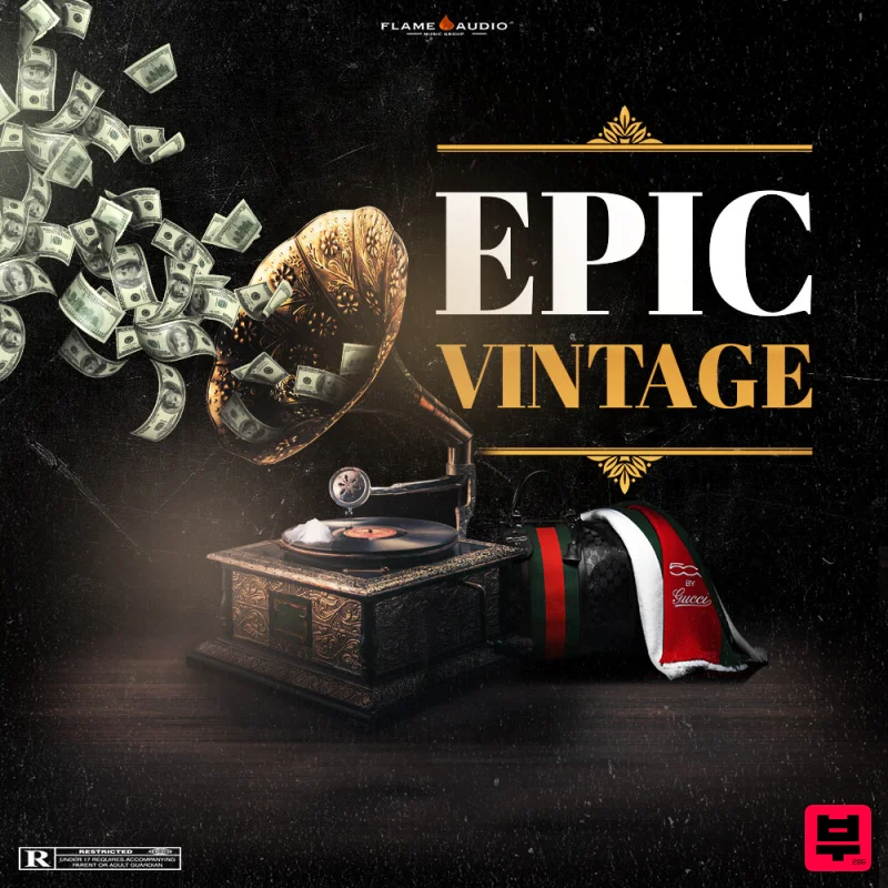 Flame Audio EPIC VINTAGE - Hip Hop