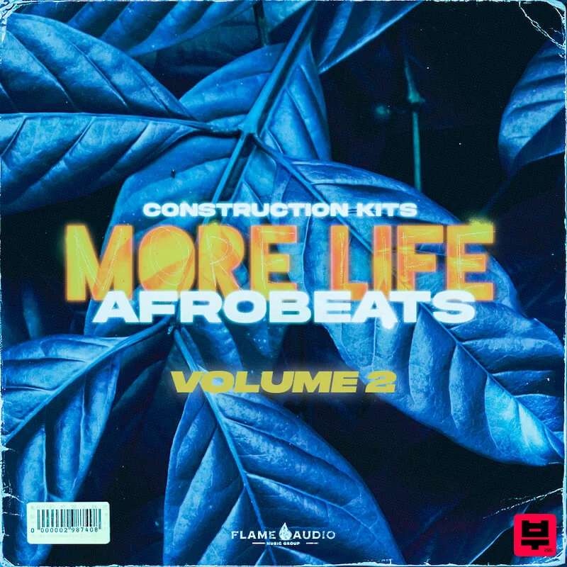 Flame Audio MORE LIFE 2 - Professional Music Instrument Photo