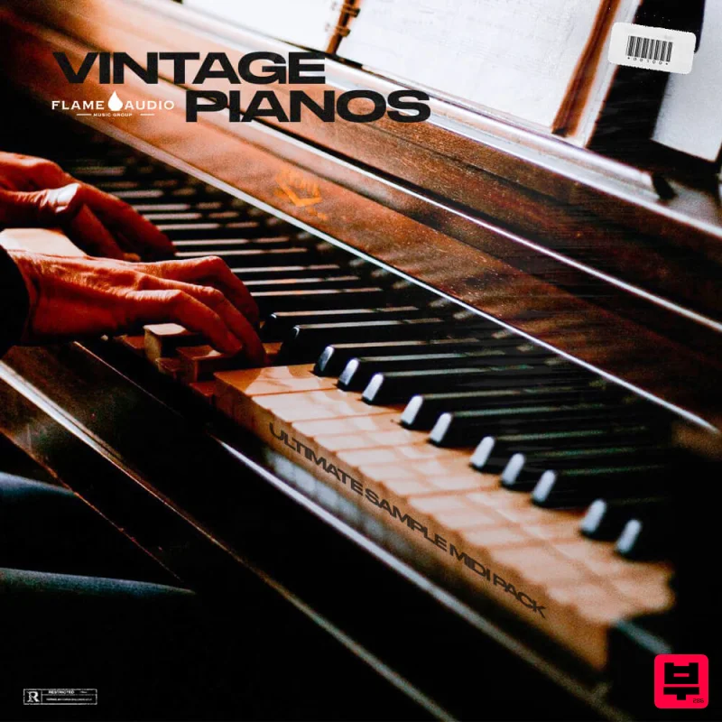 Flame Audio Vintage Pianos - Professional Music Instrument Photo