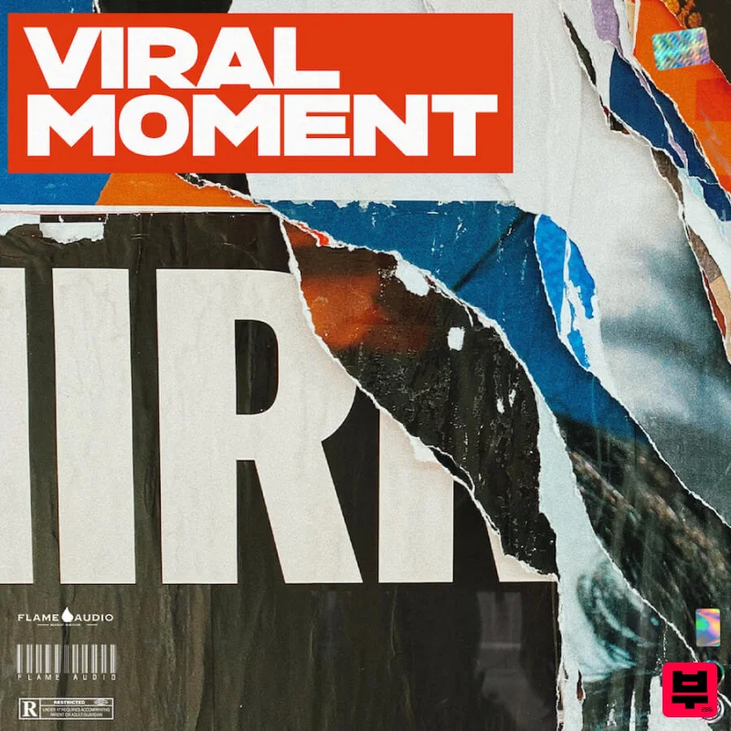 Flame Audio VIRAL MOMENT - Pop
