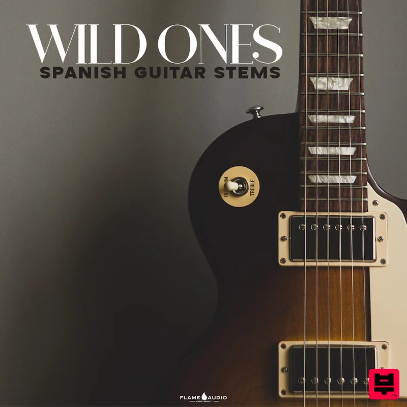 Flame Audio WILD ONES - Spanish Guitar Stems - Pop