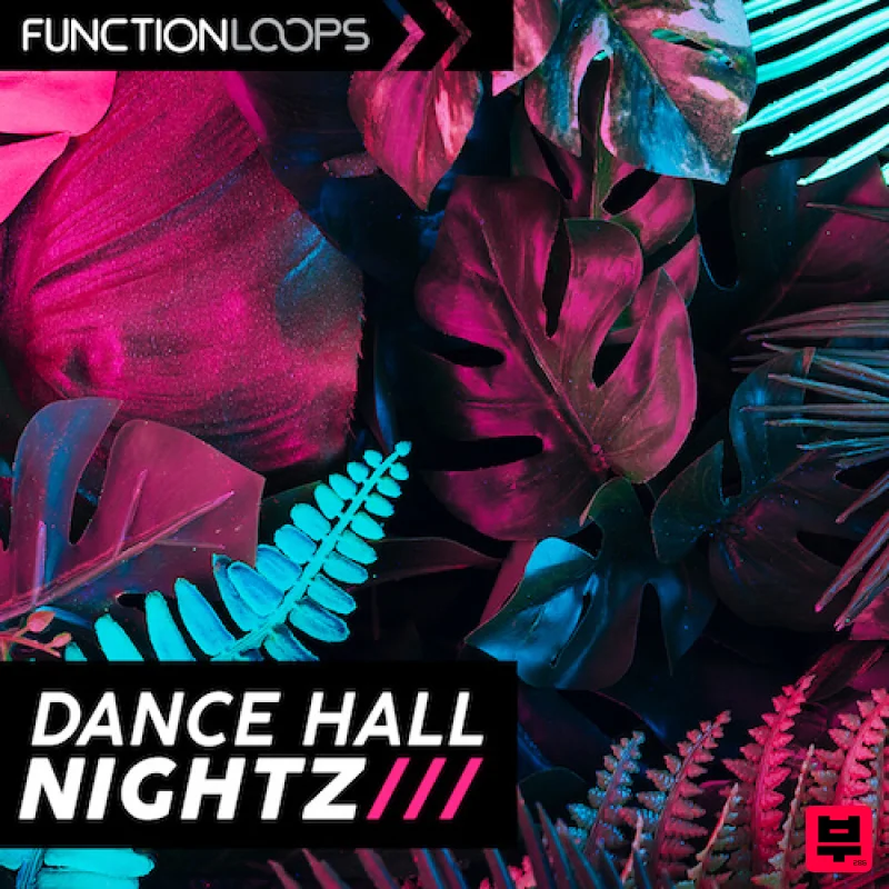 Function Loops Dancehall Nightz - Dancehall