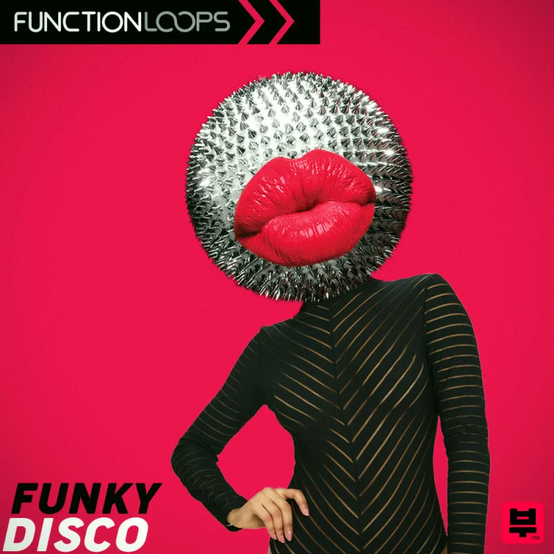 Function Loops Funky Disco - Professional Music Instrument Photo