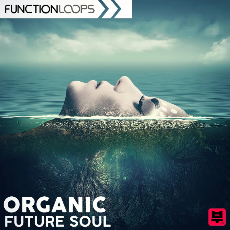Function Loops Organic Future Soul - Future RnB
