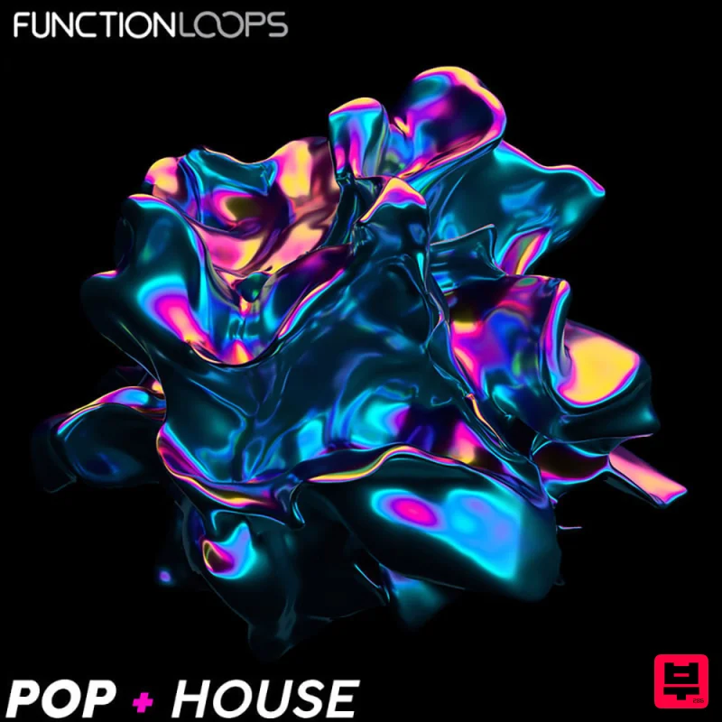 Function Loops Pop + House - Pop