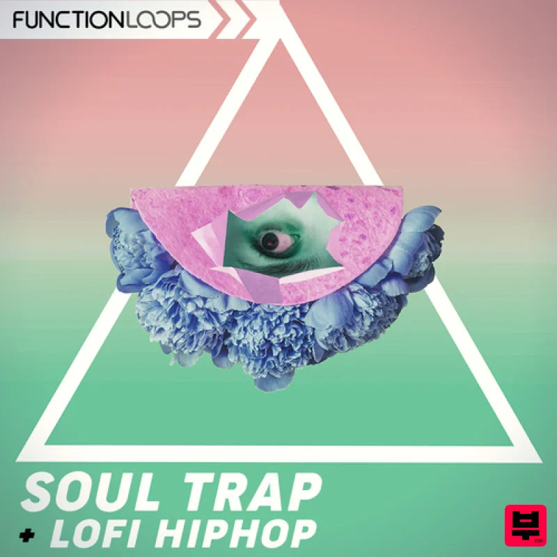 Function Loops Soul Trap & Lo-Fi Hip Hop - Soul