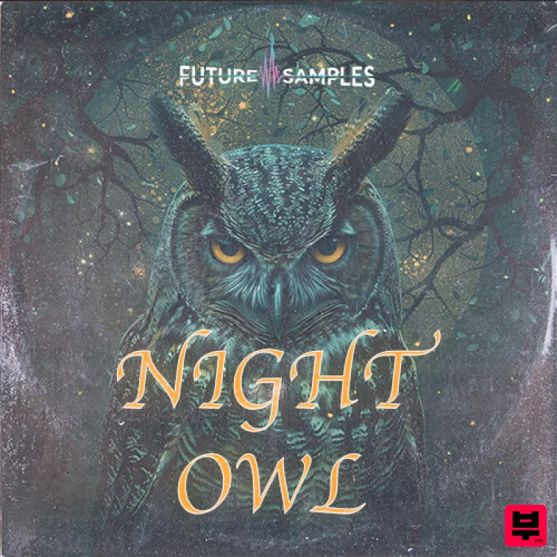 Future Samples NIGHT OWL - R&B Melodies - Professional Music Instrument Photo