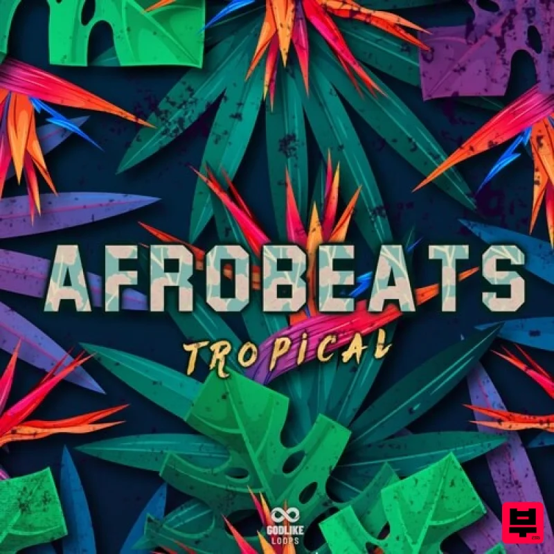 Godlike Loops Afrobeats Tropical - Dancehall
