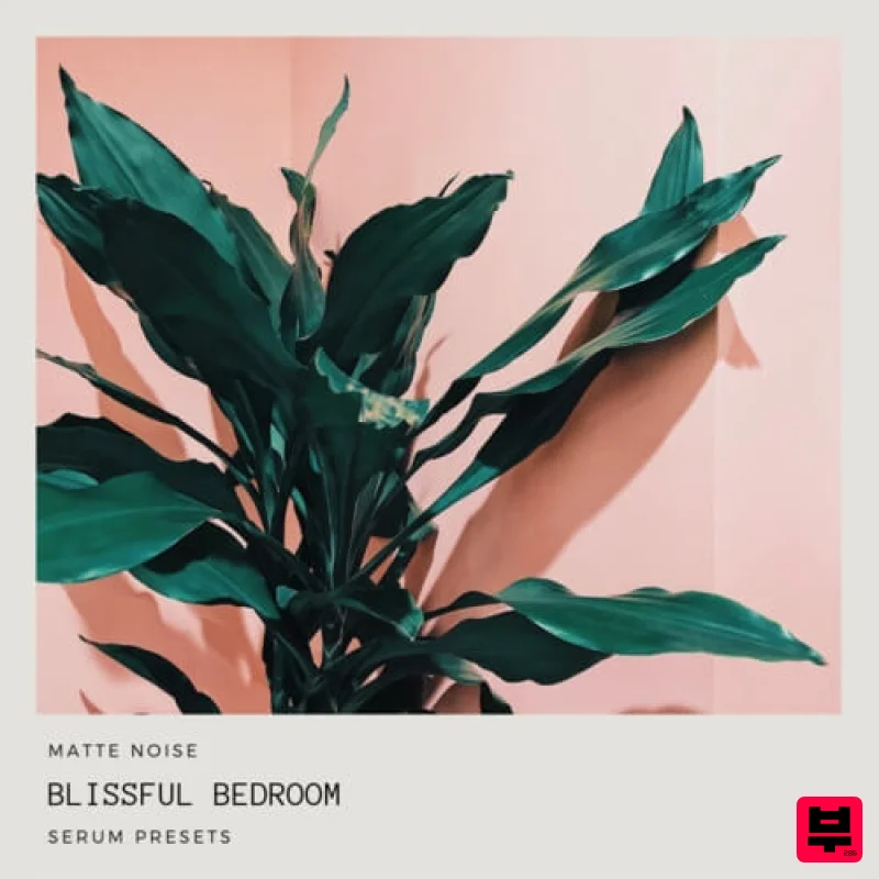 GOGOi Blissful Bedroom - Serum - Chillwave