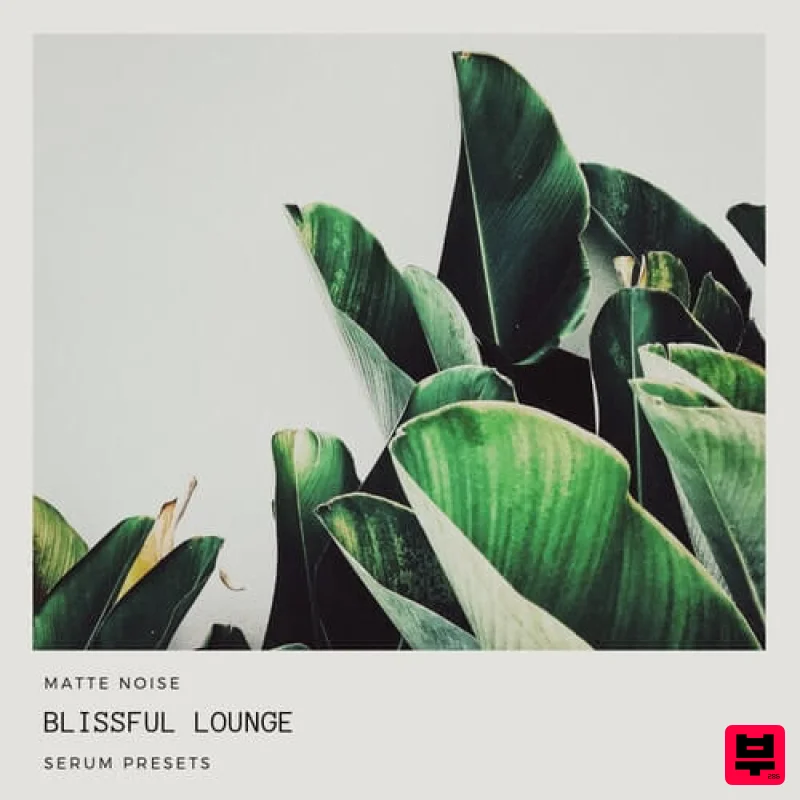 GOGOi Blissful Lounge for Serum - Electronic