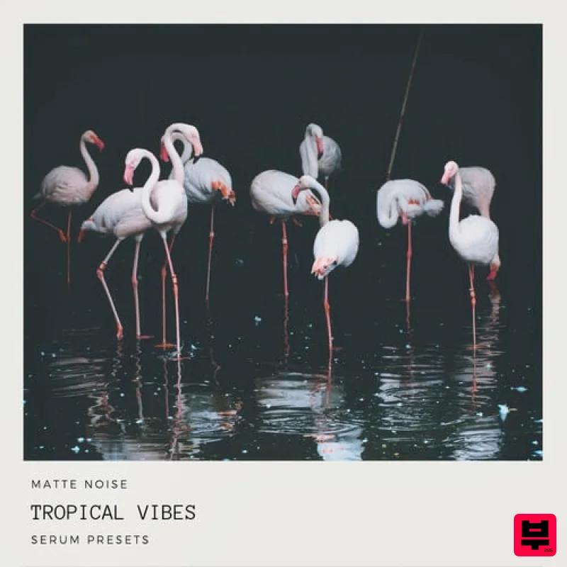 GOGOi Tropical Vibes - Serum - Tropical House