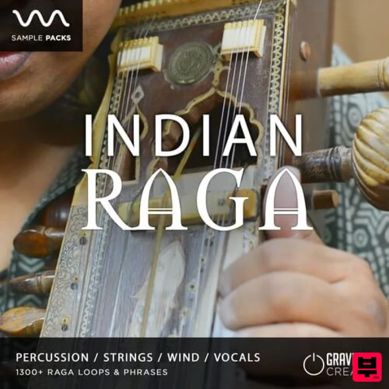 Gravitas Indian Raga - Professional Music Instrument Photo