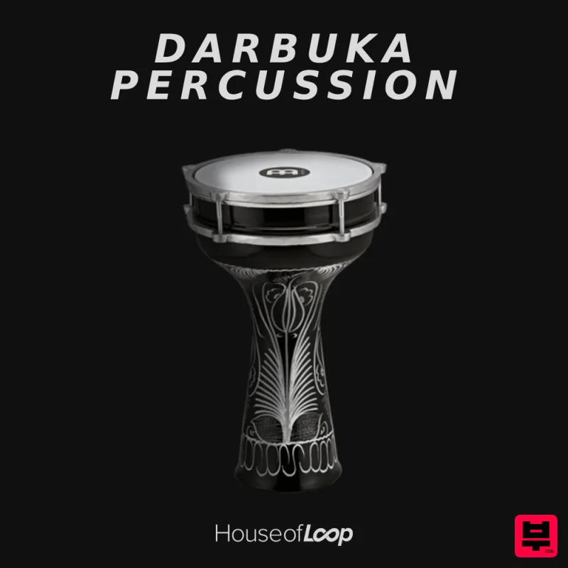 House Of Loop Darbuka Percussion - House