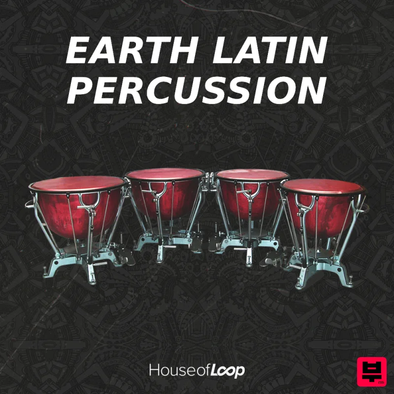 House Of Loop Earth Latin Percussion - Professional Music Instrument Photo