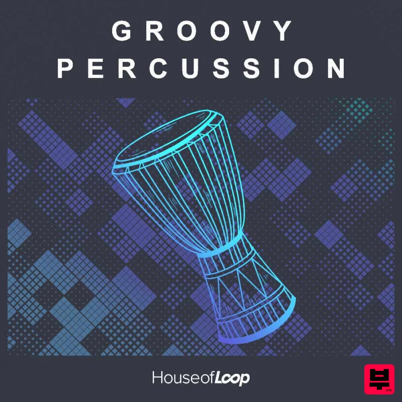 House Of Loop Groovy Percussion - Tech House