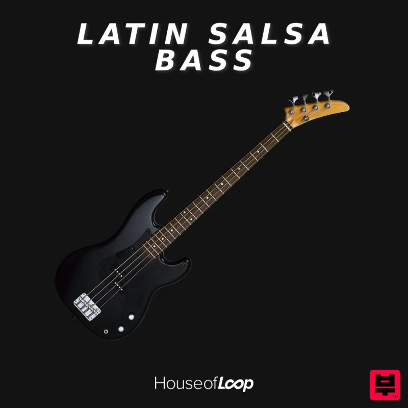 House Of Loop Latin Salsa Bass - Professional Music Instrument Photo