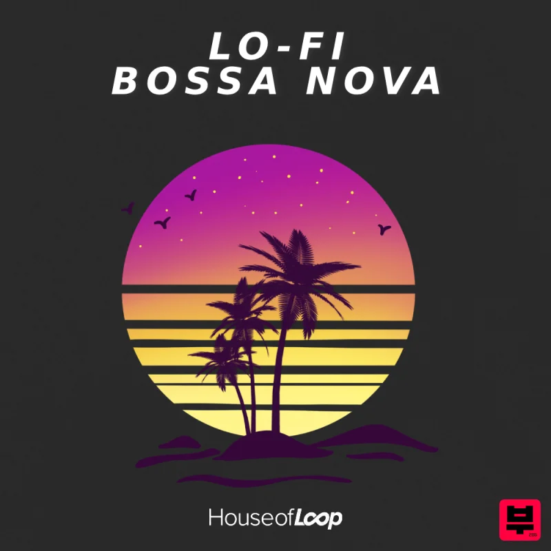 House Of Loop Lo-Fi Bossa Nova - Professional Music Instrument Photo
