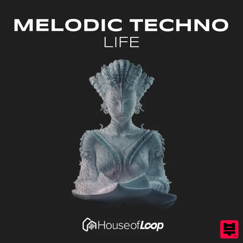 House Of Loop Melodic Techno Life - Professional Music Instrument Photo