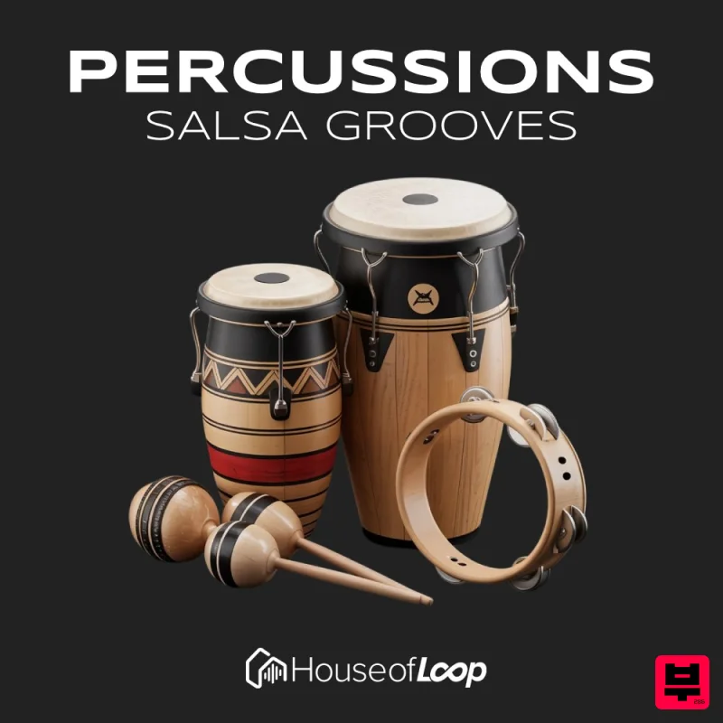 House Of Loop Percussions Salsa Grooves - Professional Music Instrument Photo