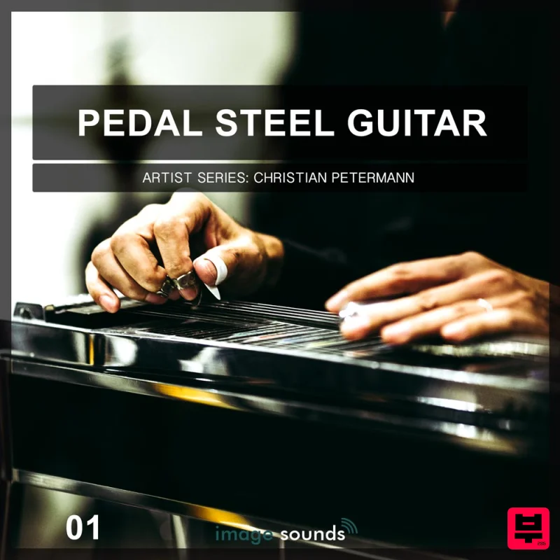 Image Sounds Image Sounds Present - Pedal Steel Guitar 1 - Professional Music Instrument Photo