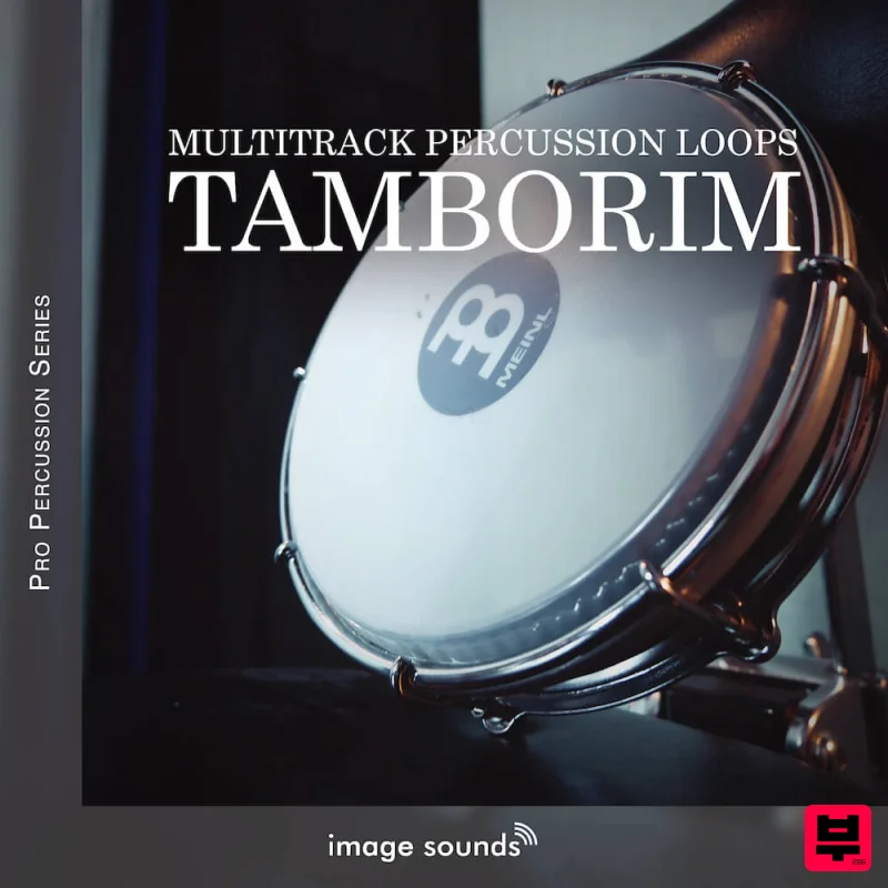 Image Sounds Tamborim - Professional Music Instrument Photo
