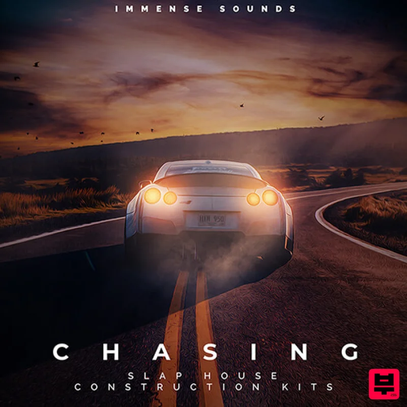 Immense Sounds Chasing (Slap House) - EDM