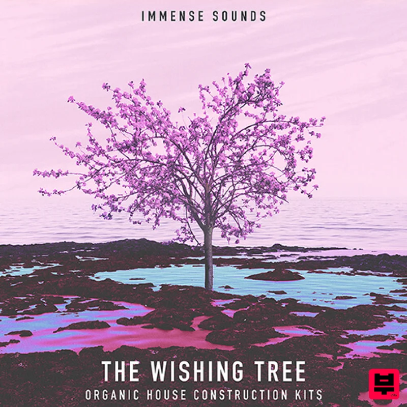 Immense Sounds The Wishing Tree (Organic House) - House