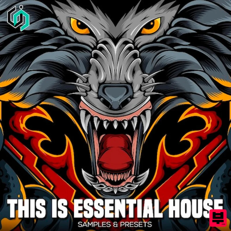 Incognet This Is Essential House - Professional Music Instrument Photo