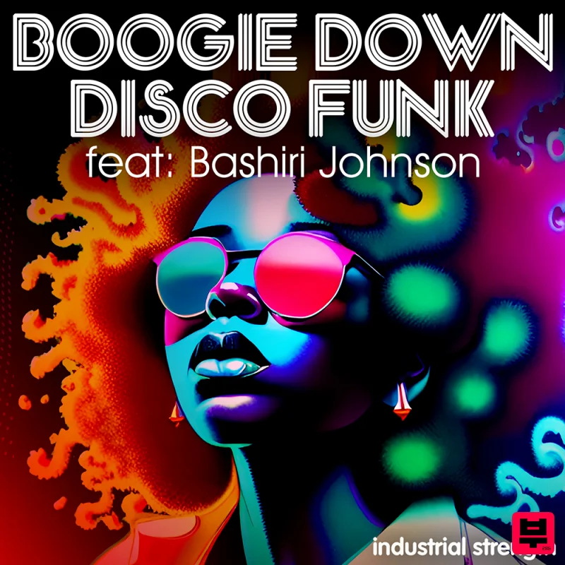 Industrial Strength Boogie Down Disco Funk feat. Bashiri Johnson - Professional Music Instrument Photo