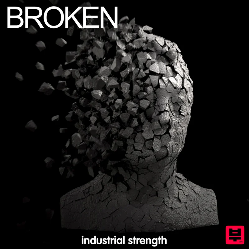 Industrial Strength Broken - Professional Music Instrument Photo