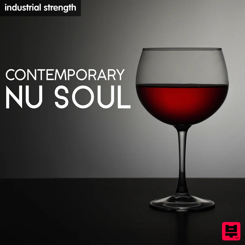 Industrial Strength Contemporary Nu Soul - Professional Music Instrument Photo