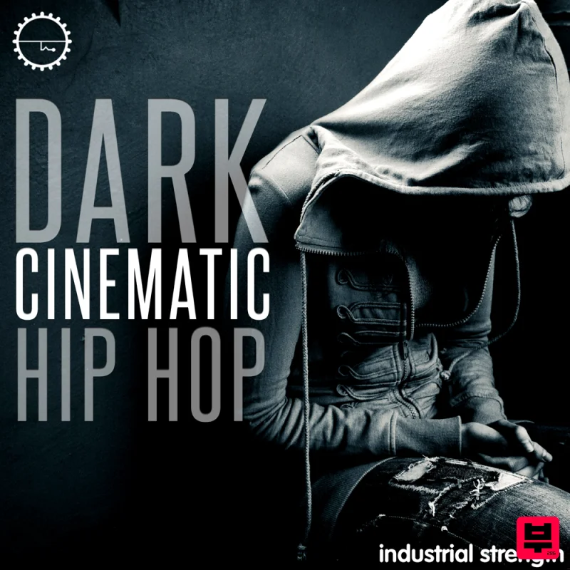 Industrial Strength Dark Cinematic Hip Hop - Professional Music Instrument Photo