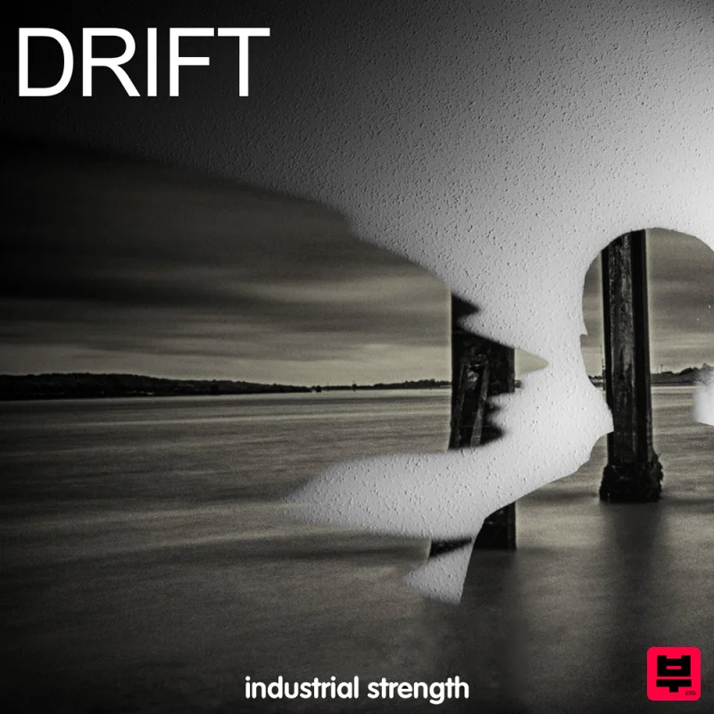 Industrial Strength Drift - Professional Music Instrument Photo