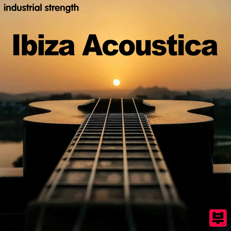 Industrial Strength Ibiza Acoustica - Professional Music Instrument Photo