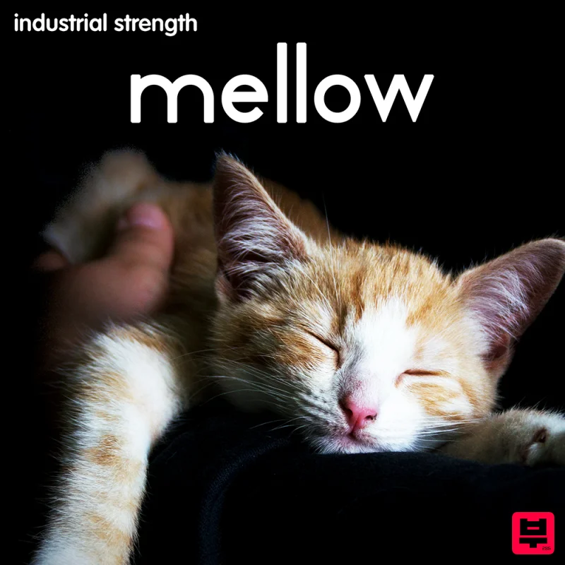 Industrial Strength Mellow - Chillout