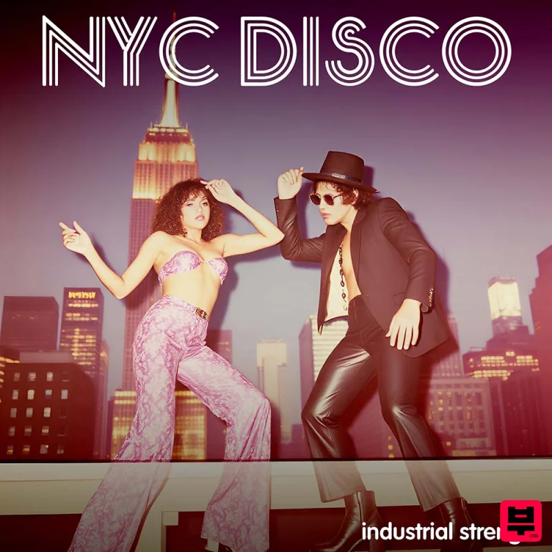 Industrial Strength NYC Disco - Professional Music Instrument Photo