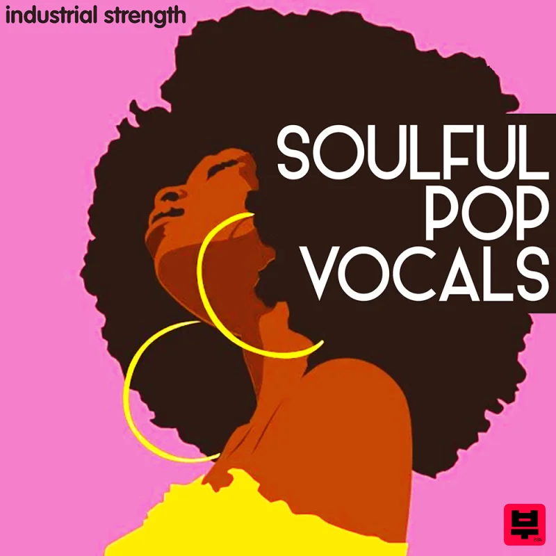 Industrial Strength Soulful Pop Vocals - Professional Music Instrument Photo