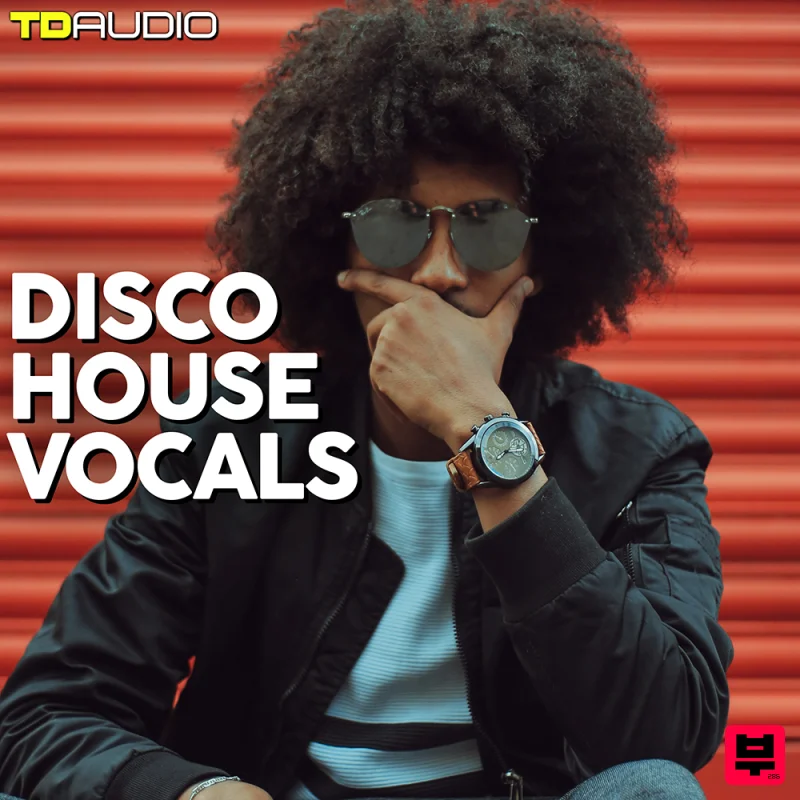 Industrial Strength TD Audio - Disco House Vocals - Professional Music Instrument Photo